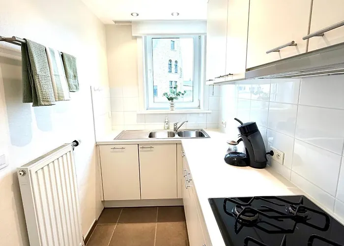 Zonnig Leopold Aan Zee *